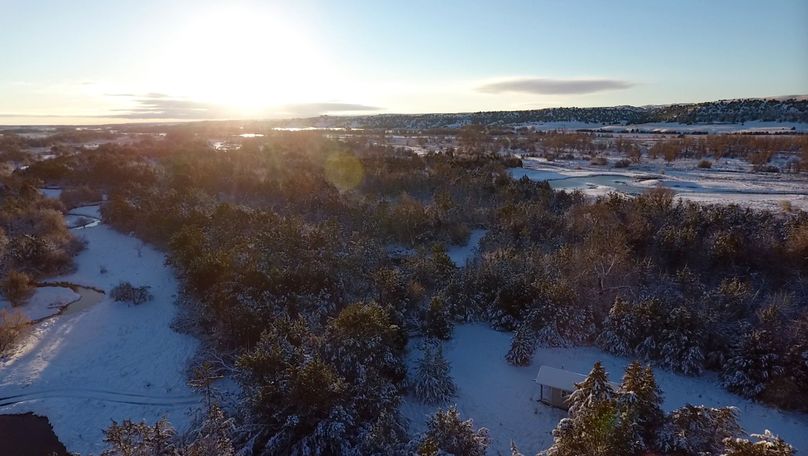 75. lots of woods looking east