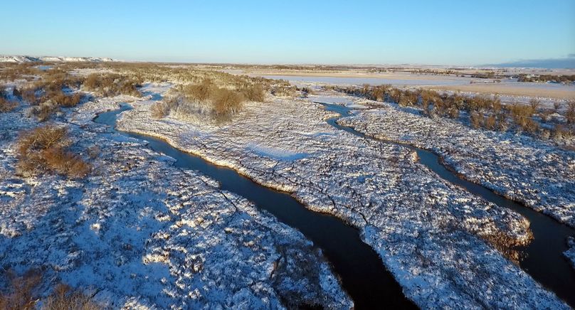 79. two sloughs in snow1
