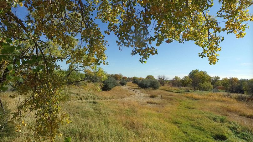 7. from west deer tripod 1