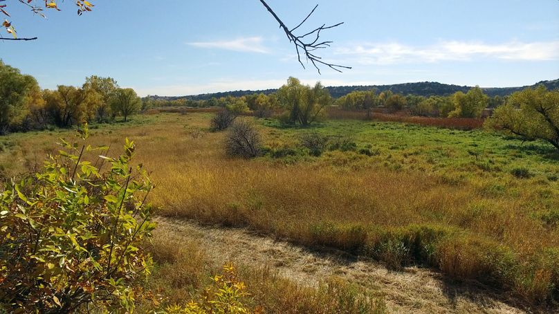 71. from east deer tripod