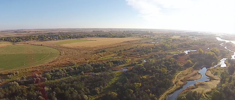 83. towards east pivot in fall