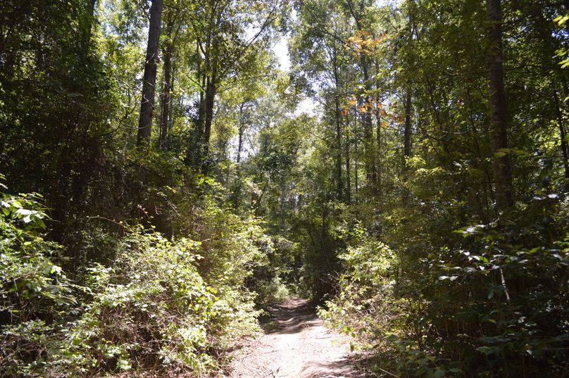 MDQtaW50ZXJpb3IgdHJhaWw=