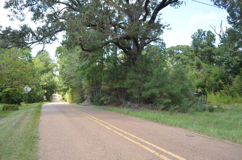 MDEtcm9hZCBmcm9udGFnZQ==