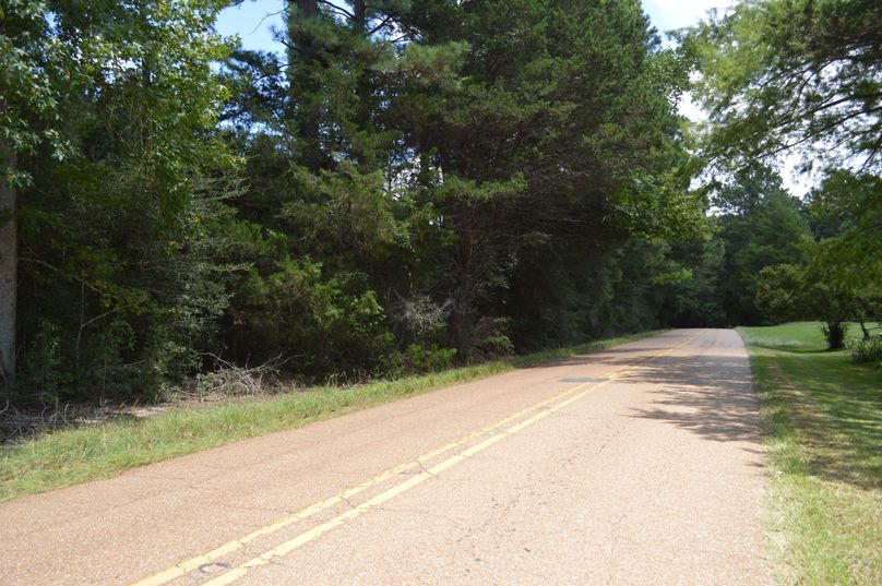 MDItcm9hZCBmcm9udGFnZQ==