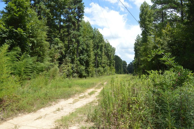 MDMtcG93ZXIgbGluZQ==