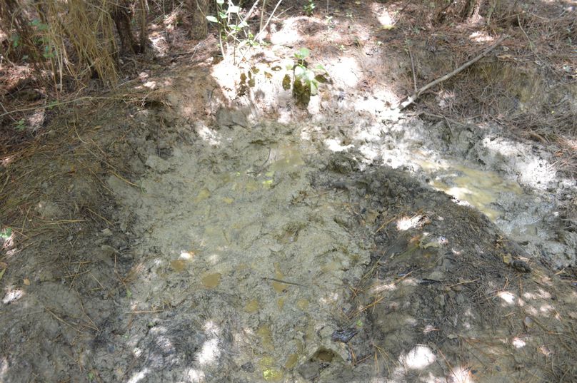 MTQtZnJlc2ggaG9nIHNpZ24=