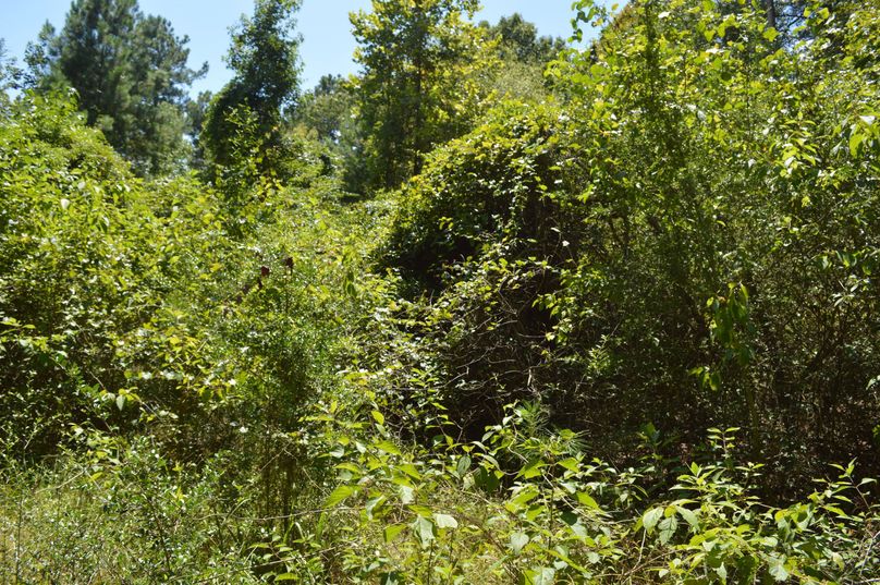 MTYtYmVkZGluZyBhcmVh