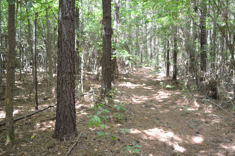 MTAtaW50ZXJpb3IgdHJhaWw=