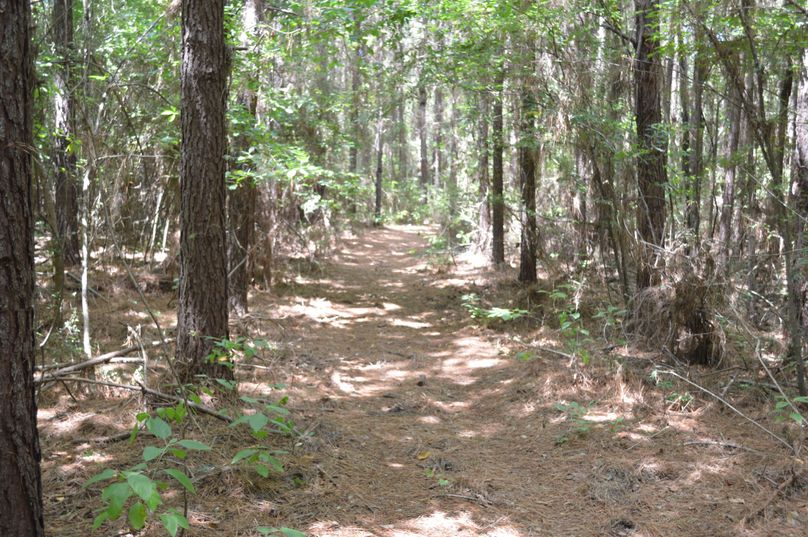 MTItaW50ZXJpb3IgdHJhaWw=