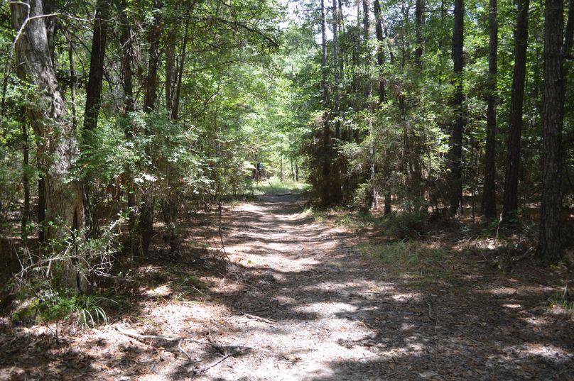 MjYtc2hvb3RpbmcgbGFuZQ==