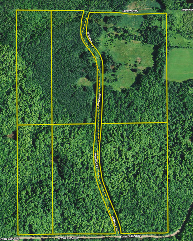 Screen shot 2020-02-19 at 9.42.10 am-2