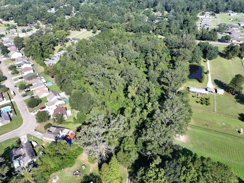 dji_fly_20250910_095428_0436_1757523436819_photo