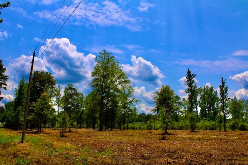 8F884EBC-2B94-4140-9900-1487A724F6E8_1_105_c