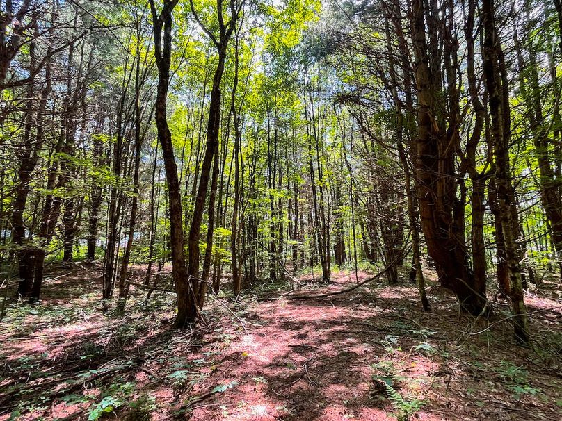 Oswego_20_Eck Photo 47