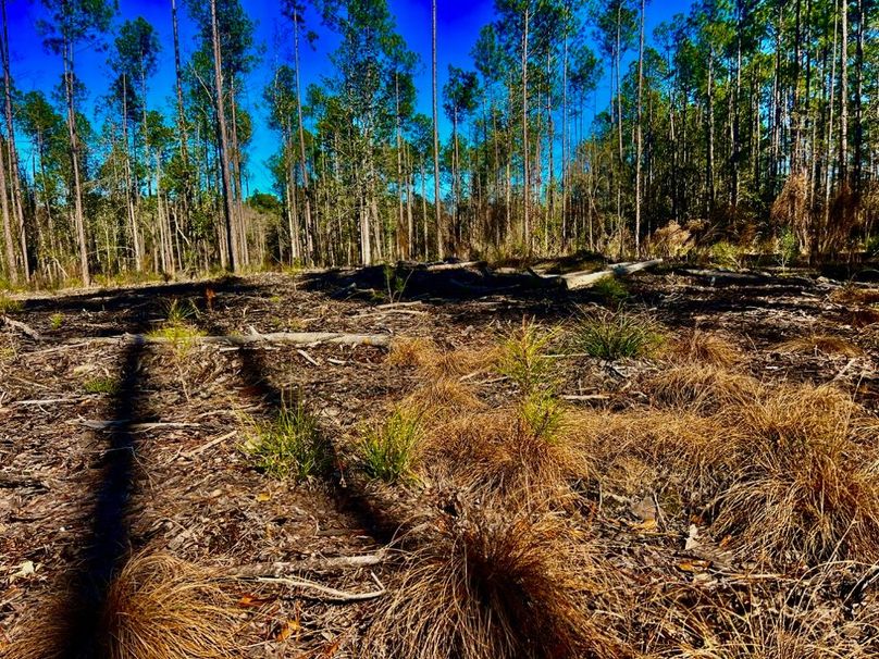 90D21F8D-0FA4-4363-B9BC-12B63A392510_1_201_a