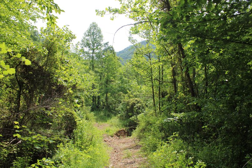 027 more nice internal roads up towards the valley head