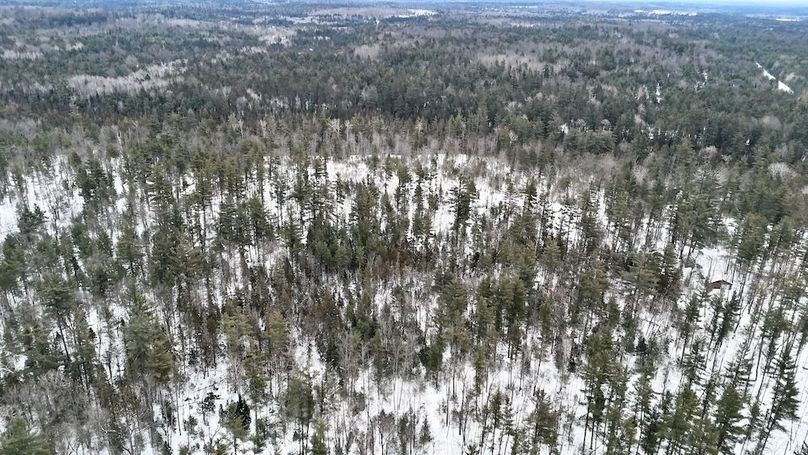 DJI_20260209113910_0219_D