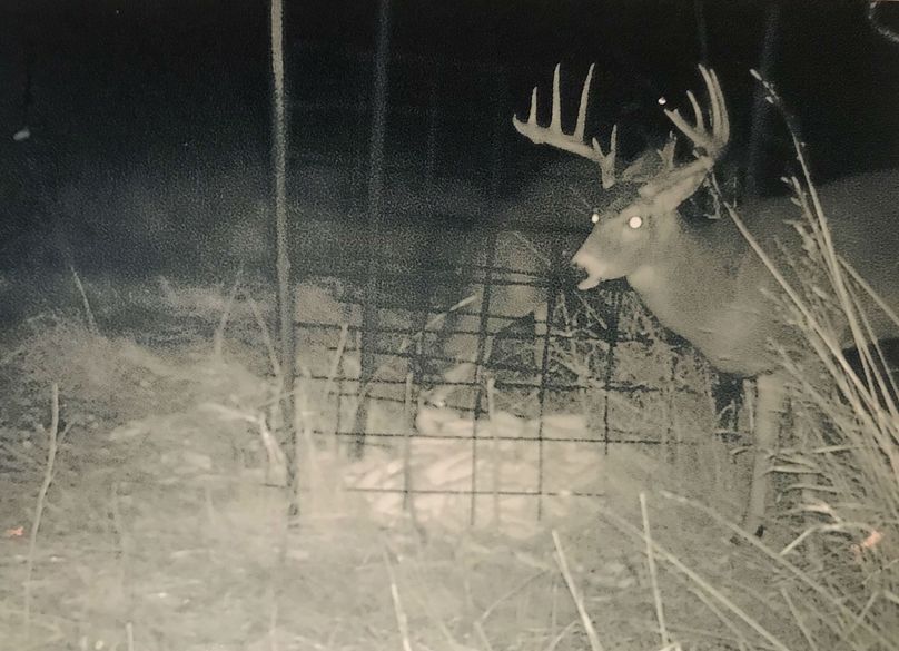 29-some bucks that have been on the property