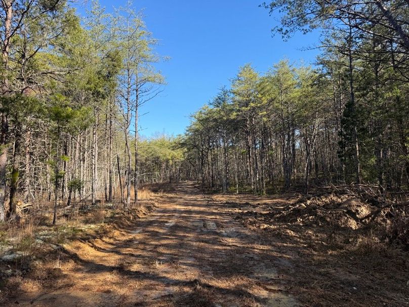 006 the peaceful drive into the property sets the mood