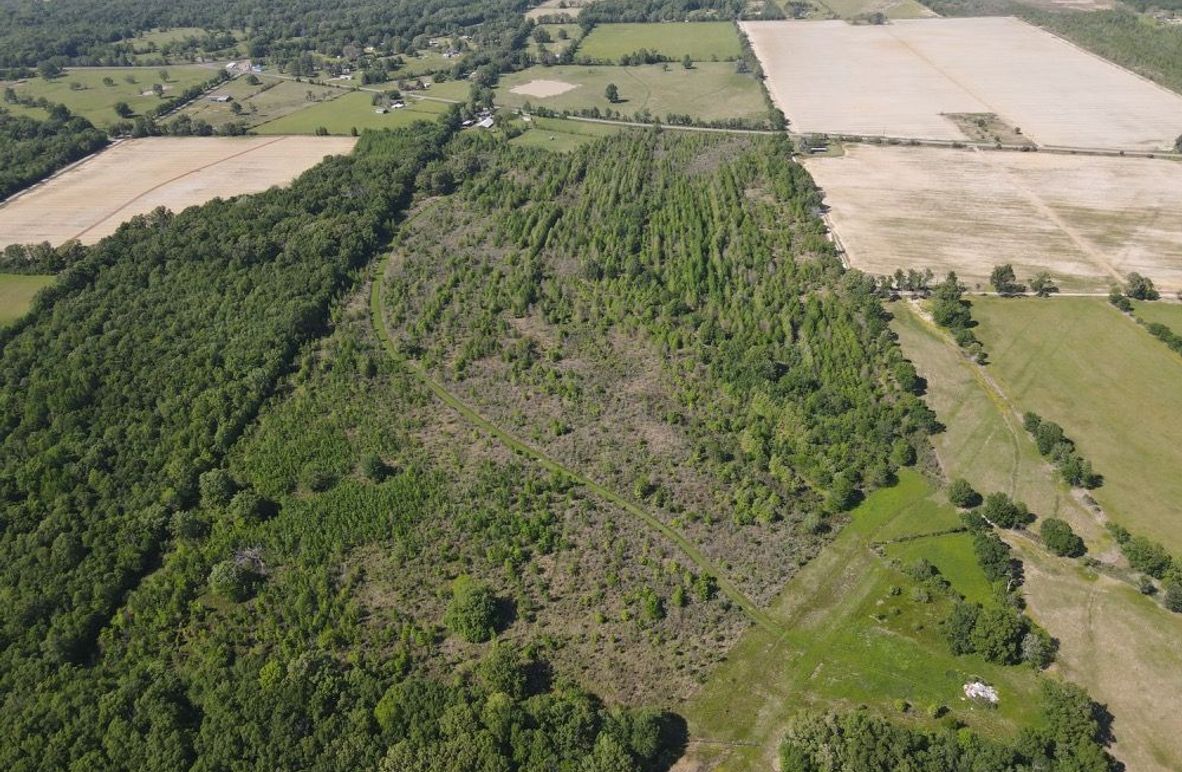 dji_fly_20250414_154802_549_1744663695518_photo