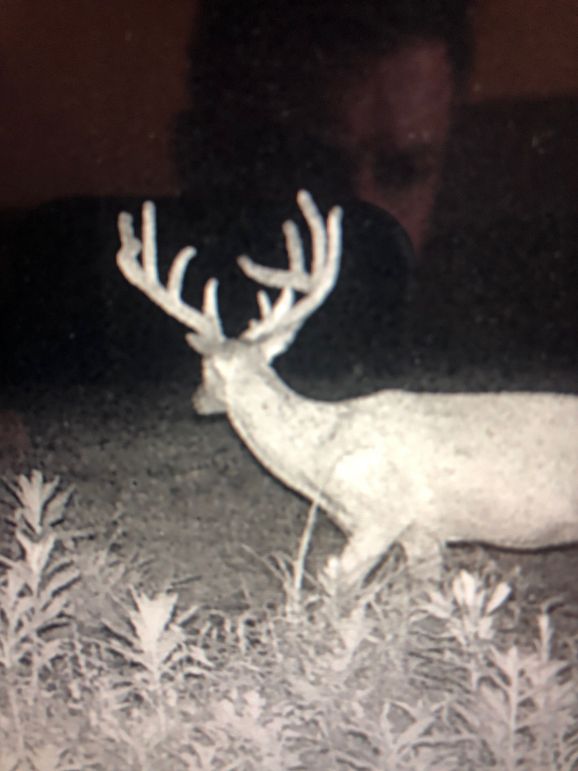 55863726489  aa88aa0a-c6f1-40bb-bdc0-bc7c4d7b9d64