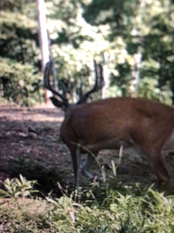 55863729380  e1f3bedd-8afd-4f06-93a1-5b404da7658a