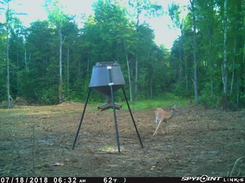 Pict0024 718201873409amc6hxu