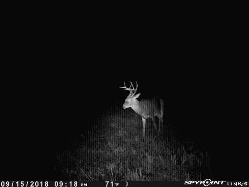 Pict0252 916201850344pmnej5q