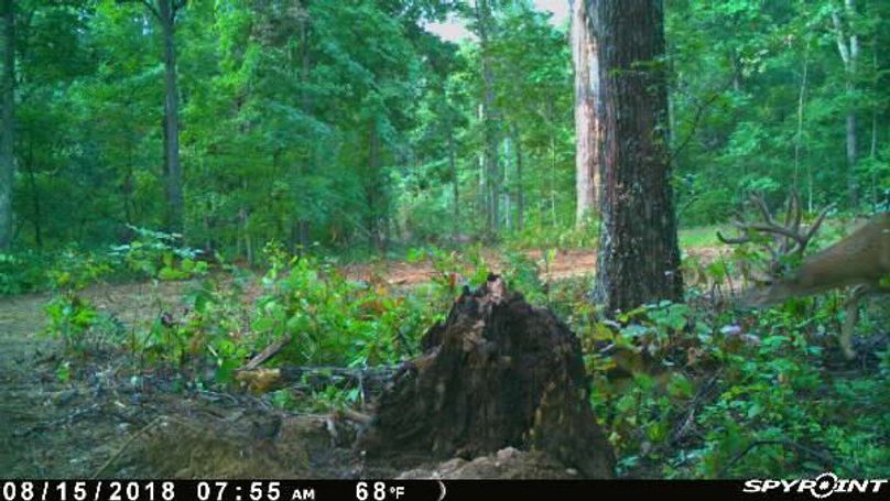 Pict0217 8152018104500amz9gkp