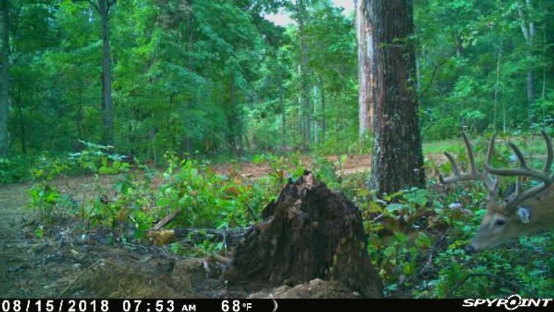 Pict0215 8152018104459am1hvgm