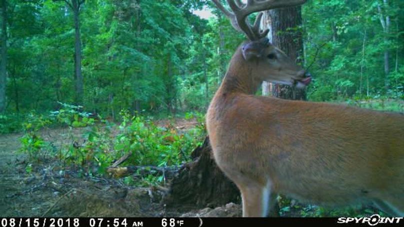 Pict0216 8152018104500ammmg8v