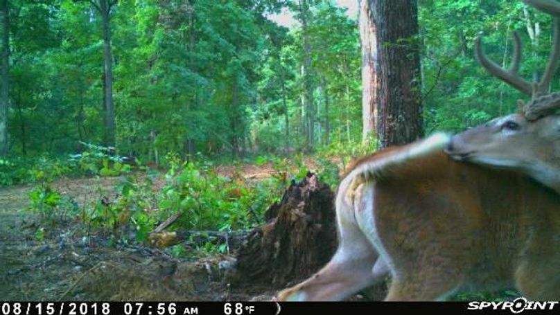 Pict0218 8152018104500amqgbcc