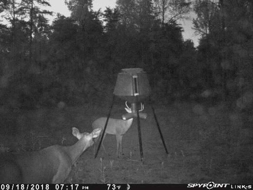 Pict0334 9182018100726pmcklvs