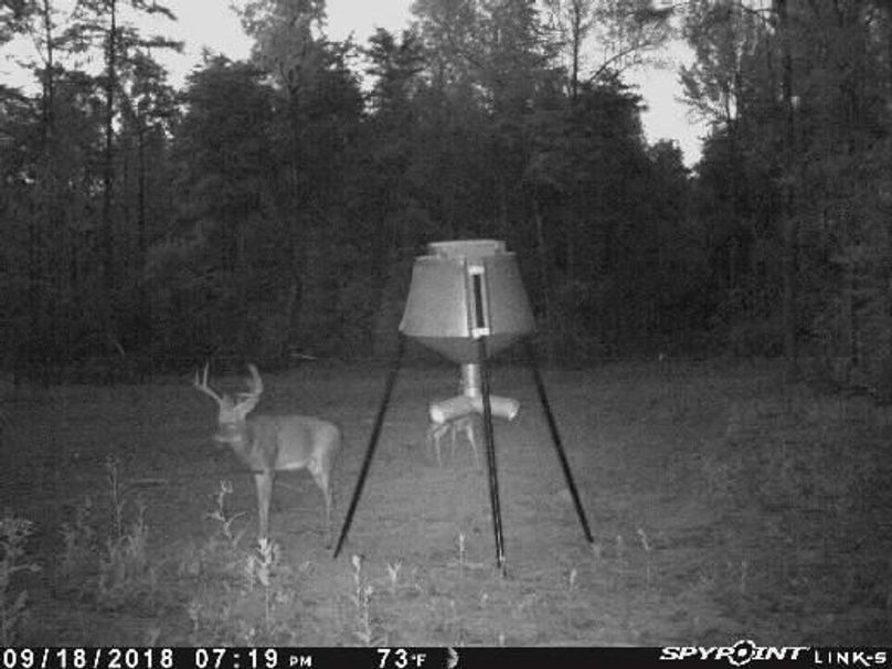 Pict0335 9182018100726pmqd6q1