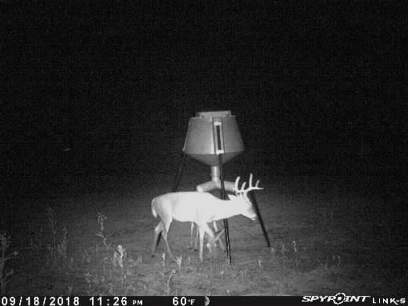 Pict0407 919201820425amvt2ay