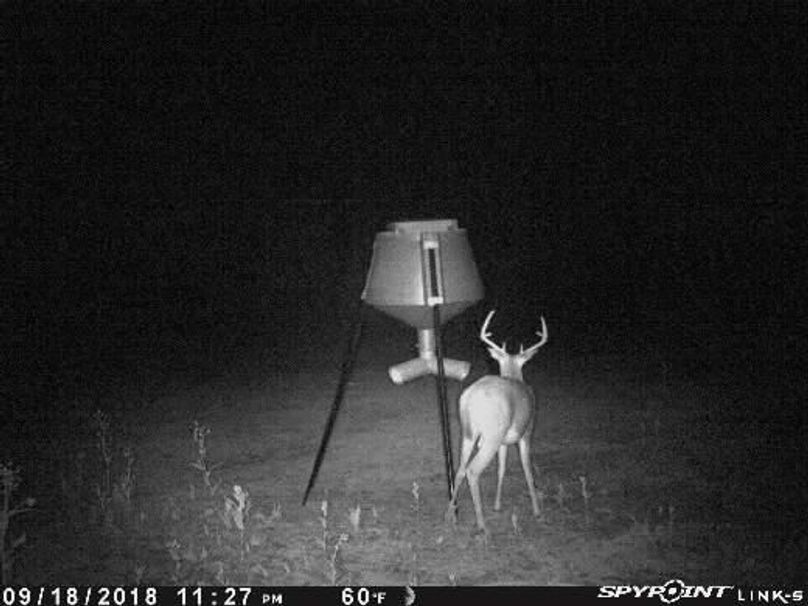 Pict0408 919201820118amvflxa