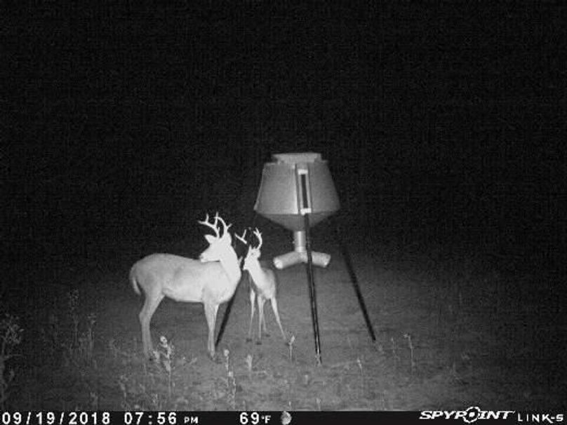 Pict0569 9192018100335pmsmjj0