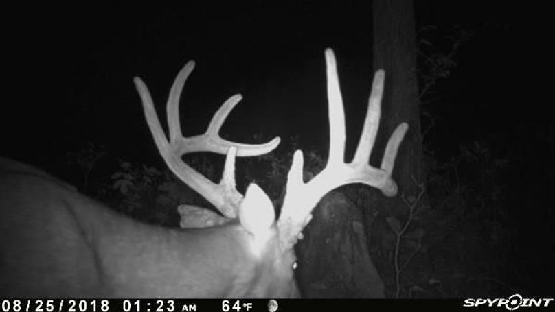 Pict0595 825201824546ame7gnq