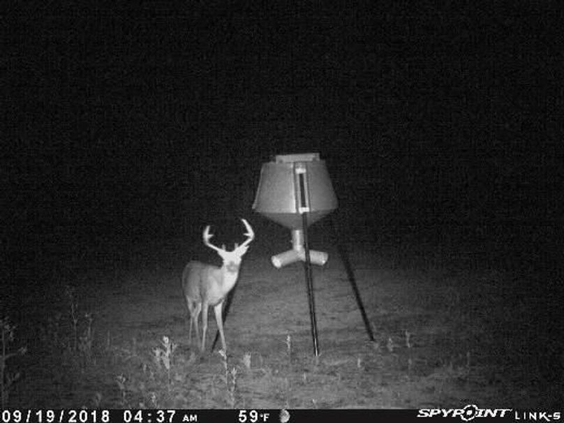 Pict0513 919201860529amd9jkw