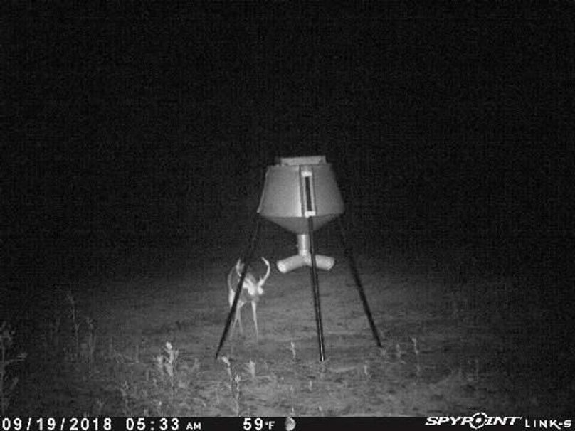 Pict0526 919201880601amk5nk6