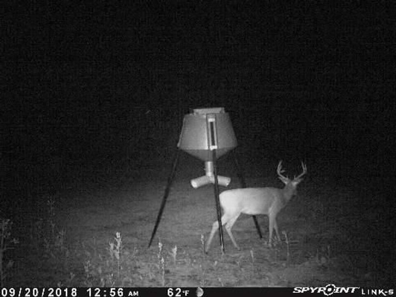 Pict0640 920201820207amwnhtt