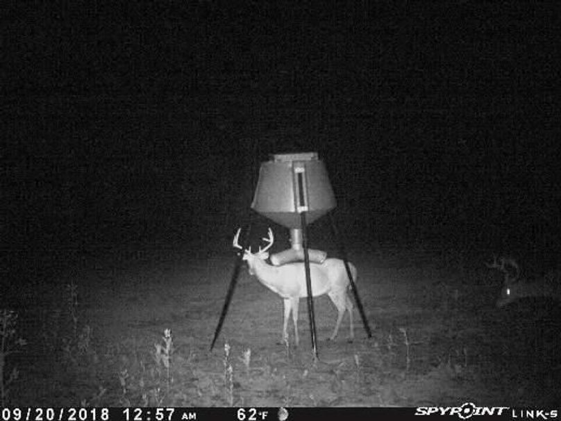 Pict0641 920201820207amngqv3