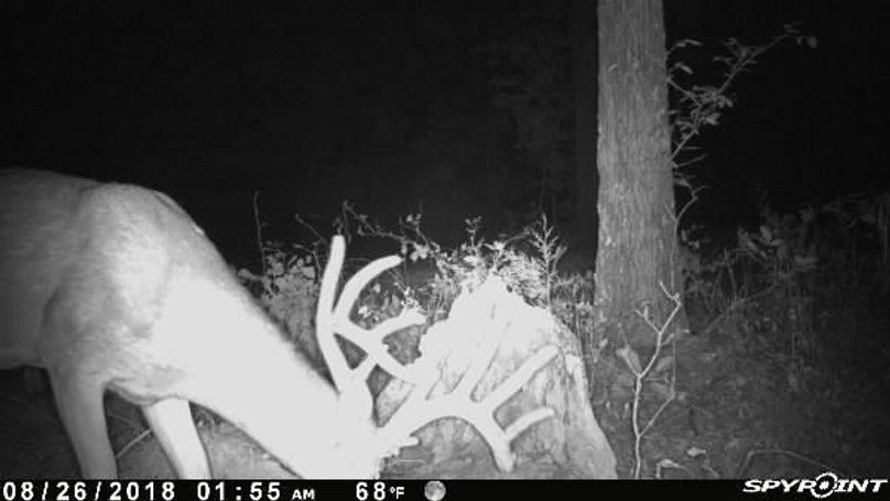 Pict0652 826201844559amxtxwm