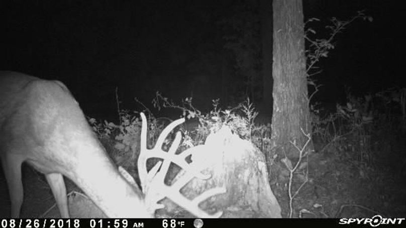 Pict0654 826201844559amxaqvn