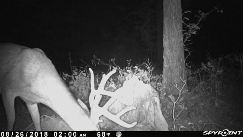 Pict0655 826201844559amy9opt