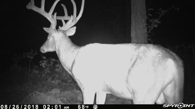 Pict0656 826201844559amokdsu