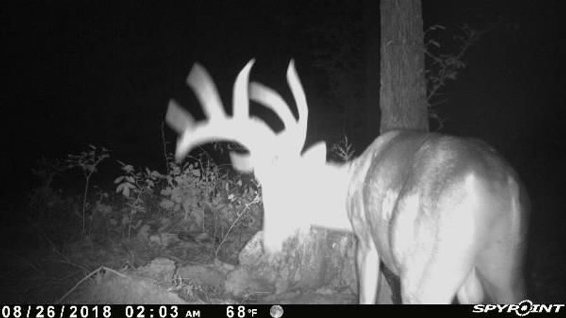 Pict0658 826201844600amoabsa