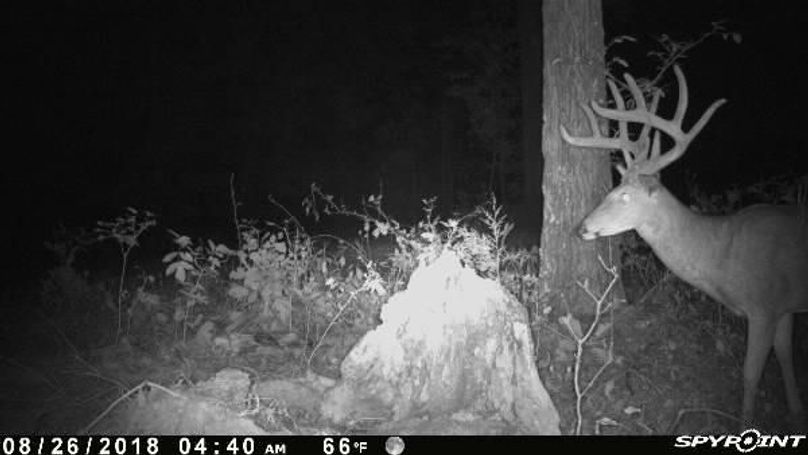 Pict0671 826201864508amcx7l6