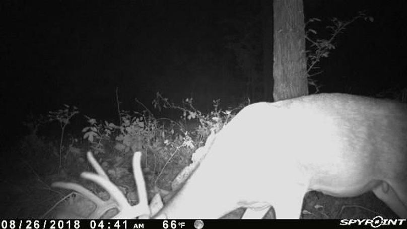 Pict0672 826201864509amdau4a