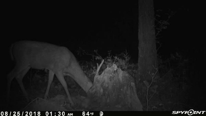 Pict0601 825201824547ampt6sy